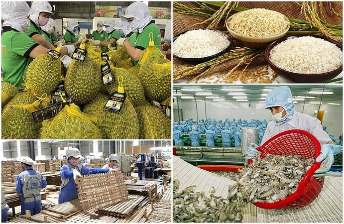 HCM City conference aims to boost agro-forestry-fishery exports